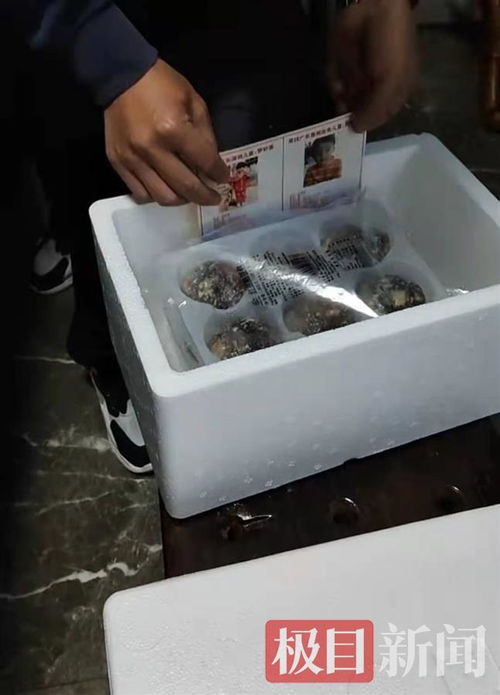 孫海洋跨界餐飲 以包子為媒，將尋親信息送入千家萬戶